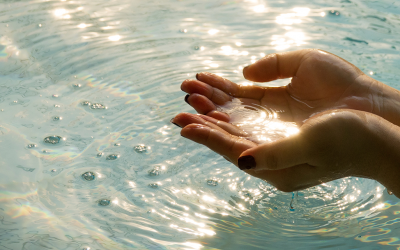 Uitgelicht: Bepalen van de waterkwaliteit