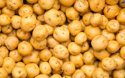 Video: Giftige aardappels?!