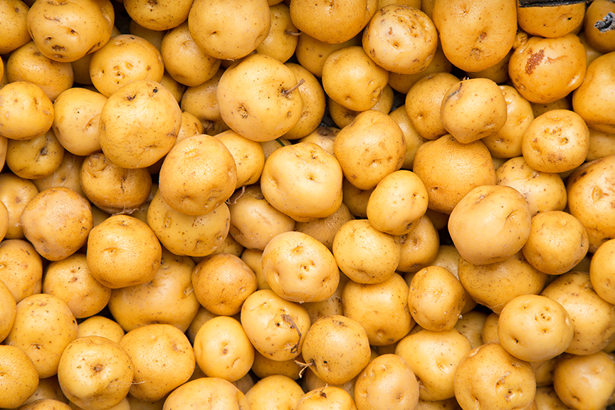 Video: Giftige aardappels?!